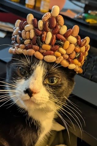The Bean Queen